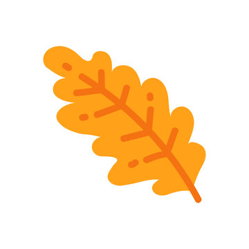 Vibrant autumnal oak leaf illustration, flat design perfect for seasonal graphics and fall themes