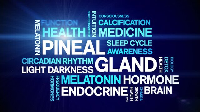 Pineal Gland animated word cloud-animation tag kinetic typography seamless loop.