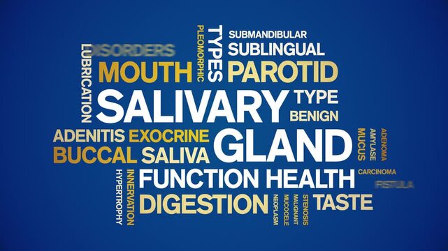 Salivary Gland animated word cloud-animation tag kinetic typography seamless loop.