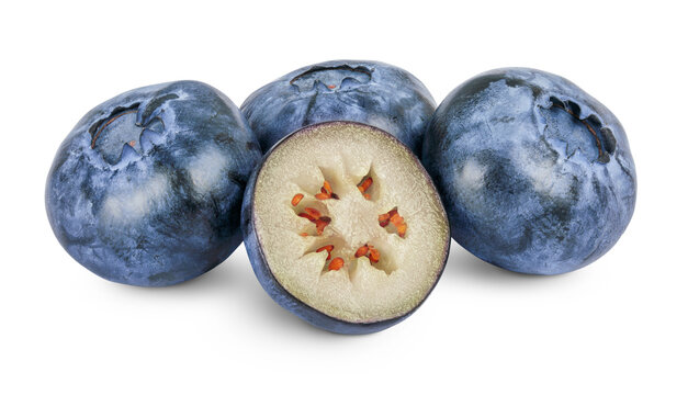fresh blueberry and half isolated on white background closeup with full depth of field