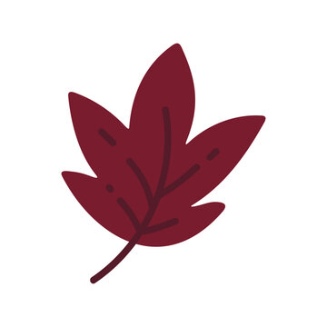 Stylized flat design illustration of a vibrant maroon autumn leaf, ideal for seasonal graphics