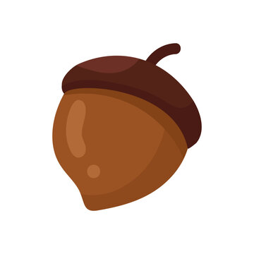 Simple charming illustration of a single brown acorn with a cap and stem on a clean white background.