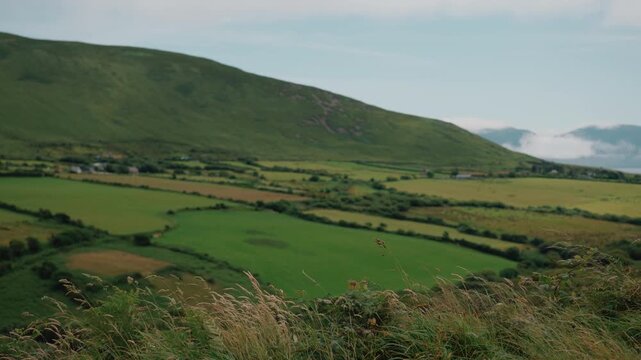 Hilly rural landscape with green fields and misty mountains on the Dingle Peninsula, County Kerry, Ireland - 9 September 2026.