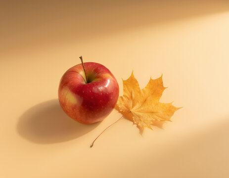 Fresh vibrant red apple and a delicate golden yellow maple leaf are elegantly positioned on a smooth light beige background with soft shadows, evoking the serene feeling of the autumn harvest season