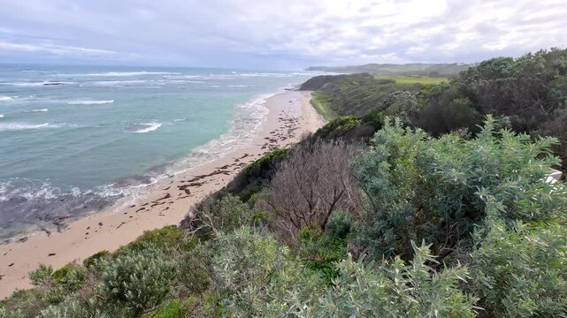 Scenic View of Ocean Coastline and Beach from Coastal Bushland