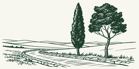 Obraz premium Line art illustration of a cypress and deciduous tree along a stone paved country path with country road