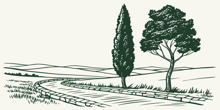 Line art illustration of a cypress and deciduous tree along a stone paved country path with country road