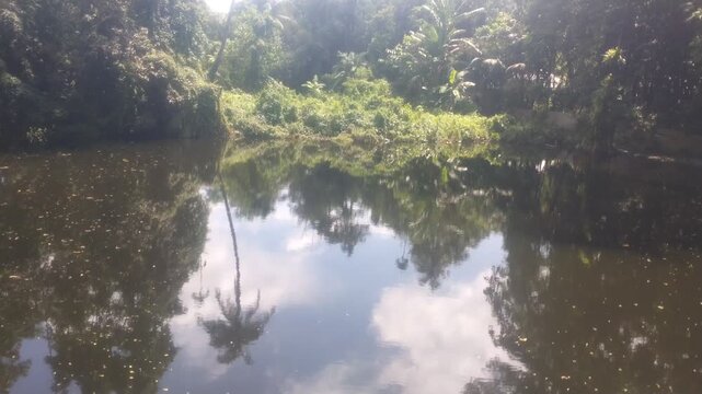 Serene Forest Reflection on a Calm Pond