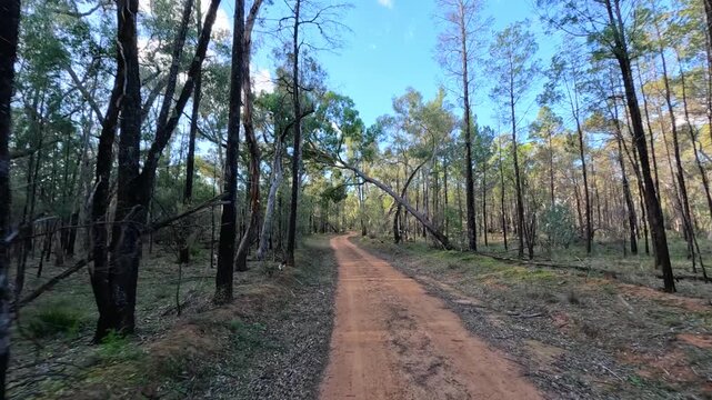 Driving Along Red Dirt Road Through Australian Bushland