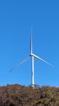 Wind Turbine Rotating on Forested Hill Against Clear Blue Sky