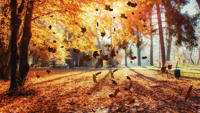 Falling Autumn Leaves Overlay for Video &ndash; Seamless Loop Transparent Leaf Effect with 3 Styles 3 Densities