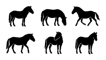Fototapeta premium Six Horse Silhouettes, Equine Poses Vector Set, Animal Icons for Equestrian Design