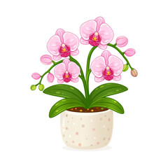 Obraz premium Cute pink orchid houseplant illustration