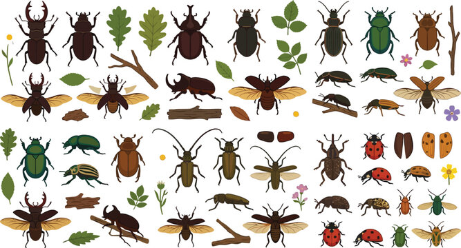 Diverse collection of beetles and insects with foliage in a flat vector illustration style