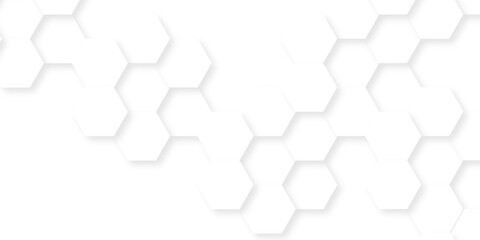 Fototapeta premium Abstract technology bee polgyon light white futuristic hexagon. White grid web business banner dynamic honeycomd paper hexagon tile texture.