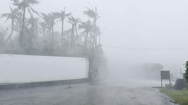 Powerful Wind And Torrential Rain In Eyewall Of Hurricane Lashing Tropical Coastline