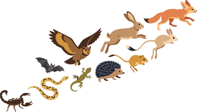 Desert animals in evolutionary sequence with clear copy space for concept design