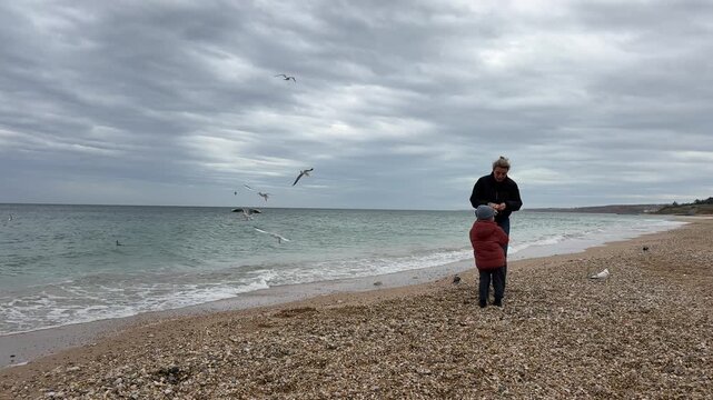 Mother and child feeding seagulls at the beach. Wide shot.