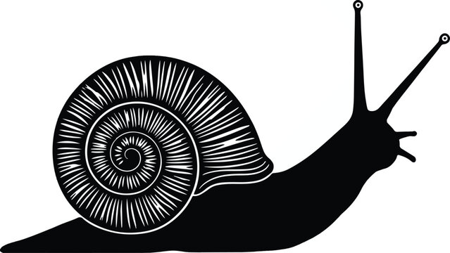 Minimalist black and white graphic illustration of a slow moving garden snail featuring a detailed spiral shell design