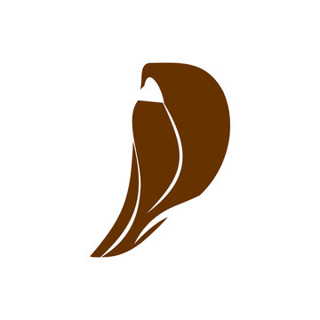 A minimalist brown vector logo featuring an abstract curving leaf or feather shape against a white background.