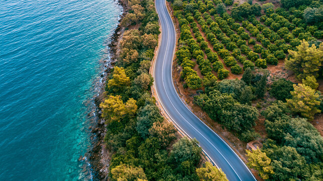 An aerial view of a winding road along a rocky coastline next to the deep blue sea and green trees.