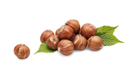Fototapeta premium Whole hazelnuts with green leaves in natural studio lighting on a clean surface isolated on transparent background