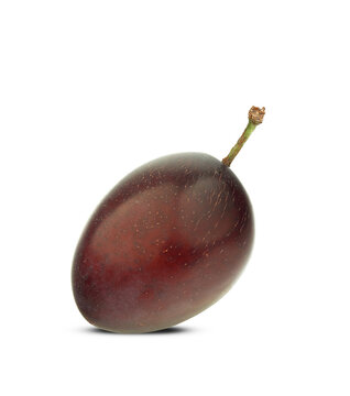purple Damson plum
