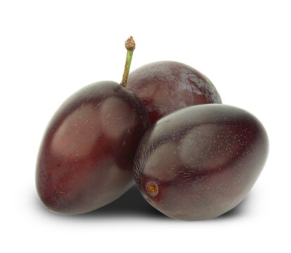 purple Damson plum