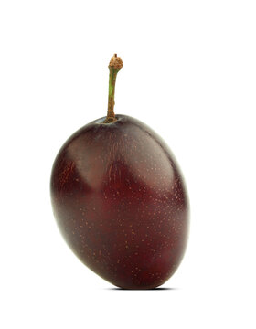 purple Damson plum