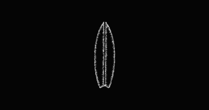 Sketch surfboard icon animation - smooth progressive reveal