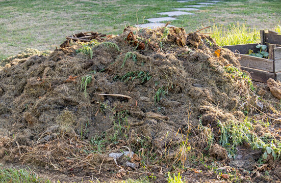 gros plan d'un tas de compost dans un jardin
