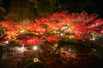 Garden route of Kurodani Konkai Komyoji autumn leaf light up, Kyoto