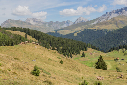 Landscape / mountain range of Swiss Alps at Arosa, Switzerland