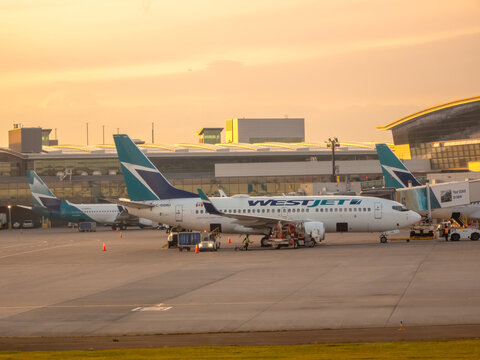 CALGARY, ALBERTA, CANADA. SEPTEMBER 10, 2026. WestJet Boeing passenger aircraft parked at airport terminal gate at golden hour sunset.