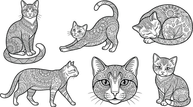 Intricate mandala cat patterns set featuring black and white doodle zen ornaments adult coloring book page vector illustration elements