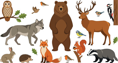 Obraz premium Woodland animals in a clean vector illustration with natural elements for children's book design