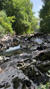 Mountain stream flowing through white rocks and small rapids in a green forest, captured in a vertical view with the natural sound of running water.