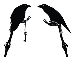 Obraz premium human skeleton hand holding antique key with perching raven bird - fantasy memento mori black and white vector silhouette print design