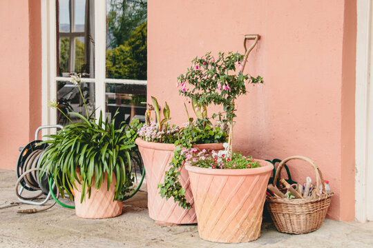 Potted green plants and vibrant flowers in terracotta planters alongside a garden hose and a rustic woven basket of tools on a patio, evoking a peaceful, relaxing, and nurturing outdoor spring mood