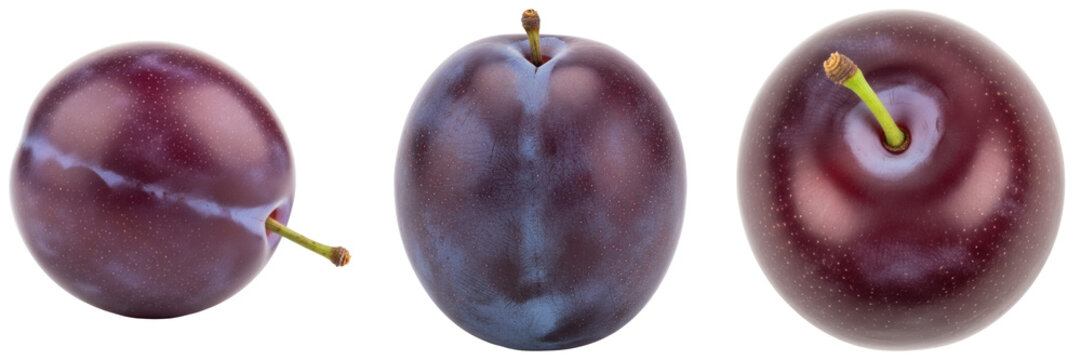 Three ripe plums isolated on a transparent background