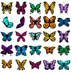 Colourful butterflies with spread wings, incuding the blue Morhpo and the Monarch butterfly © ian