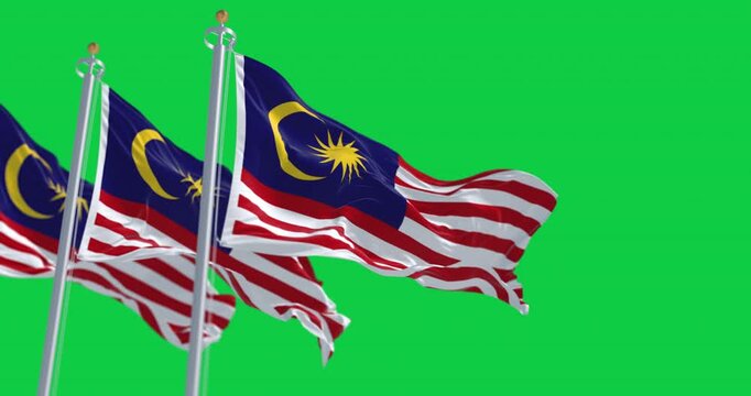 Malaysia national flags waving isolated on green background