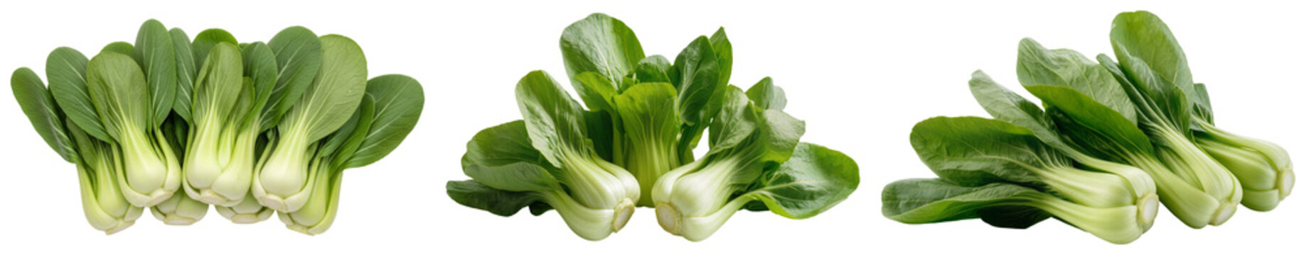 Three bunches of bok choy isolated on a transparent background