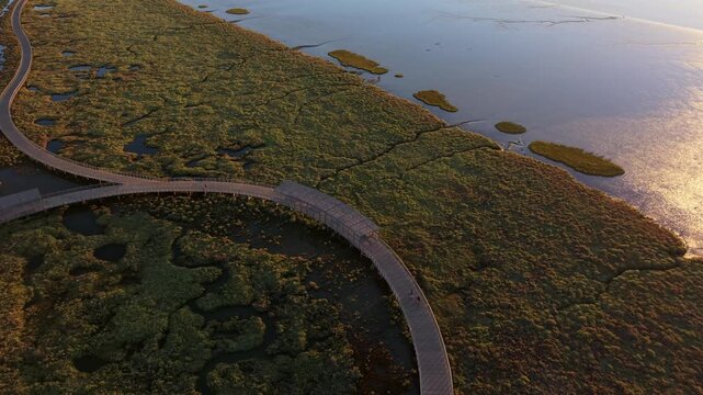 Aerial view of winding boardwalk through lush wetlands at golden hour. Path curves gracefully beside calm water and green marsh grasses. Tranquil nature scene ideal for travel, environmental