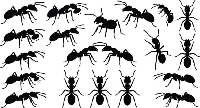 Ant Silhouette Vector Set with Various Poses and Angles Isolated on White Background