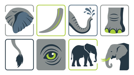 Fototapeta premium Collection of stylized illustrations depicting various parts and full figures of elephants, showcasing their ears, tusks, trunks, feet, tails, eyes, and silhouettes.