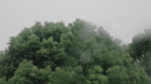 窓越しに見る雨の風景