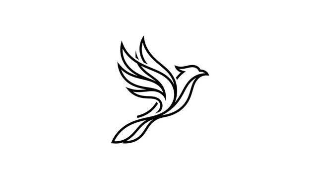Elegant minimalist vector line art illustration of a phoenix or mythical bird flying upward, isolated on a white background