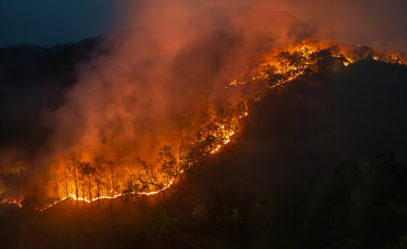 El Nino climate event dries regions and increased wildfire risk.