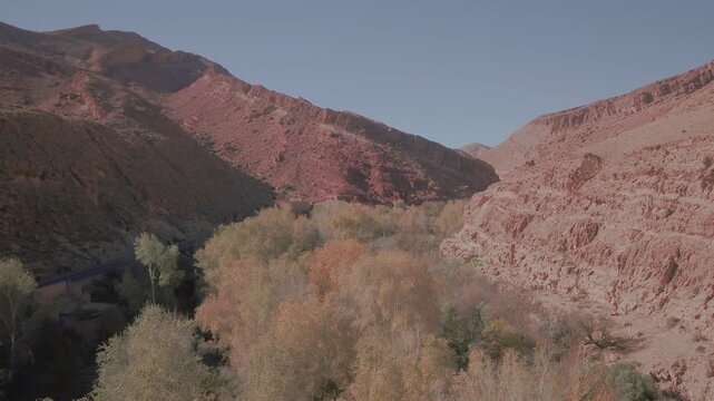 Elevated aerial shot gliding over an arid red rock mountain canyon and dry valley floor dotted with seasonal autumn trees in the Tinghir region of Morocco.